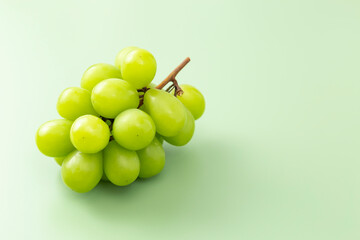 緑背景にシャインマスカット