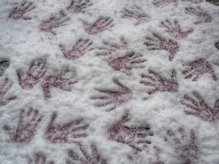 winter season, heavy snowfall, city covered in white, snow and winter views