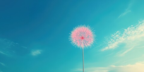 Festive Fireworks Display on New Year's Day