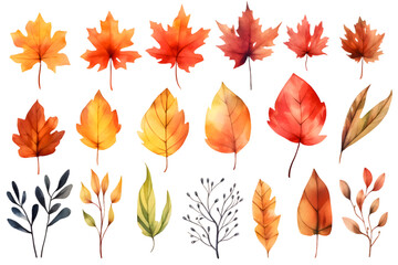 Obraz premium Autumn yellow leaves watercolor collection isolated on transparent background