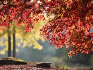 beauty of red and orange maple leaves in autumn. The leaves should be vividly colored, with shades of red, orange, and yellow, highlighting the transition of the season