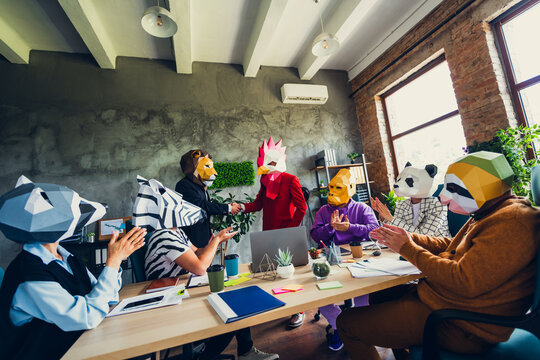 Photo of panda gorilla sloth zebra raccoon mask business people clapping rooster lion handshake loft interior office indoors