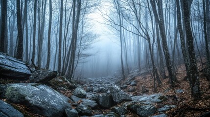 Fototapeta premium Misty forest featuring bare trees and rocks in a minimalistic landscape scene