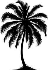 Create a Plam tree vector silhouette with white background