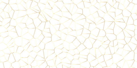 Golden gradient lines stroke abstract white crystalized broken glass background. Voronoi diagram background. abstract desktop texture design digital art wallpaper, vector illustration.	
