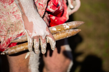 Clap sticks held in hand of aboriginal dancer at NAIDOC celebration