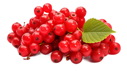 a pile of red berries with a leaf


