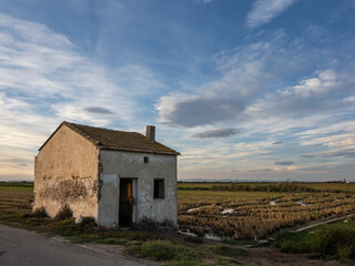 Obraz premium Sunset around the Albufera of Valencia (Spain)