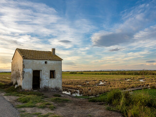 Sunset around the Albufera of Valencia (Spain)