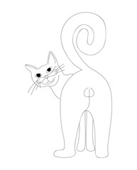 Cat is standing with his butt turned, he turned around and looks. Cat's ass. Stock vector illustration of a cat in the form of a single line highlighted on a white background.