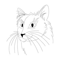 Portrait of a cat. The cat's head. Stock vector illustration of a cat in the style of a single line isolated on a white background