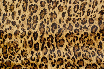 Leopard Animal Print. Background Texture.