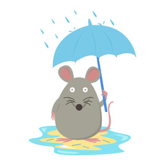 leptospirosis infection disease from leptospira bacteria in rat urine