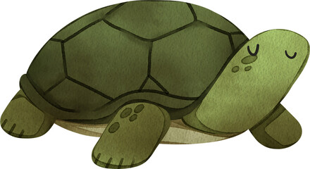 A turtle is peacefully walking and happy, hand-drawn watercolor illustration