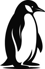 penguin on the rocks