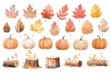 Watercolor autumn leaves isolated on transparent background, autumn plants illustrations