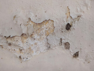 Damp wall surface has some of the paint peeling off.
