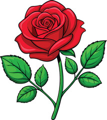 Red Rose vector and art 