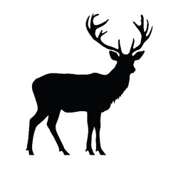 Forest Stag Silhouette Vector Illustration Transparent Background