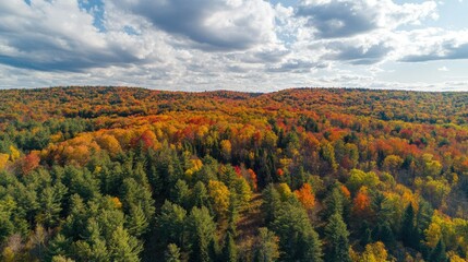 Fototapeta premium Aerial view of a forested hill with vibrant fall colors, with space for text in the sky above.