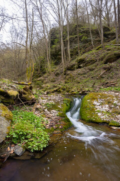 Typical landscape near Burg Kaja and Merkersdorf, National park Thayatal , Lower Austria, Austria