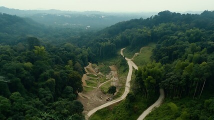 Aerial View of Winding Road Through Lush Green Forest