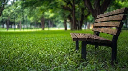 Fototapeta premium Wooden Bench in a Lush Green Park