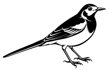 bird on a branch