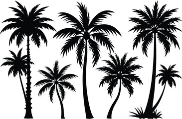 Set of Palm tree vector art silhouette style with a white background.