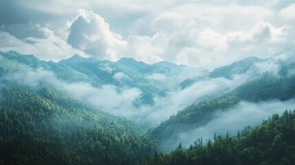 Obraz premium Serene misty mountains showcasing lush greenery and dramatic clouds.