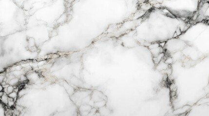 Elegant white marble with striking black veins creates a sophisticated and luxurious backdrop.
