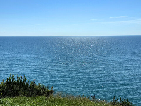 Grass on blue sea shore and sunny clear sky at summer.
