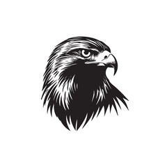 Hand drawn eagle head emblem set. Mascot bird collection. Predator logo illustration isolated on white