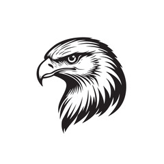 Beautiful Black And White Hawk Head Silhouette