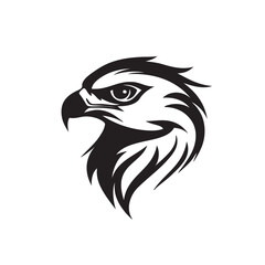 The image is a pencil drawing of the head of a bald eagle in black and white