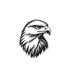 Beautiful Black And White Hawk Head Silhouette