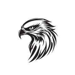 Beautiful Black And White Hawk Head Silhouette