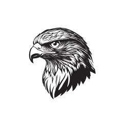 Eagle vector isolated on white background, eagle icon illustration isolated vector sign symbol Hunting style eagle background. Concept on white background