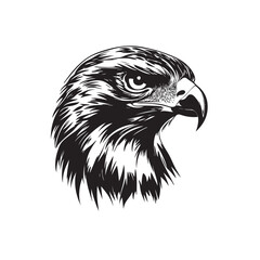 Eagle vector isolated on white background, eagle icon illustration isolated vector sign symbol Hunting style eagle background. Concept on white background