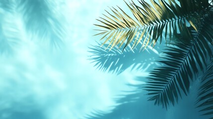 Serene tropical scene with palm leaves against a soft blue background, evoking a calm and sunny vibe.