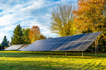 Solar panels in field with trees harnessing solar energy