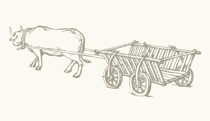 Empty cart drawn by oxen. Vector drawing