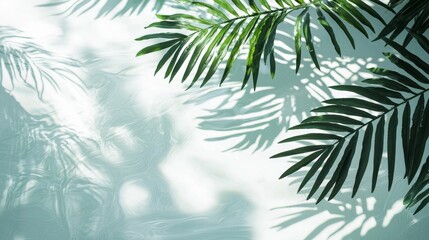Discover the tranquil beauty of a tropical pool with palm shadows and clear water for relaxation