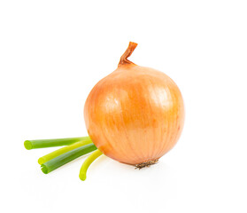 fresh onion on white background