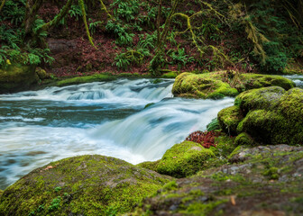 Landscape of running stream with mossy rocks in the forest
