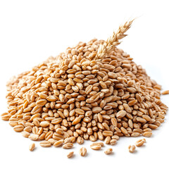 Fototapeta premium Pile of expanded wheat isolated on white background