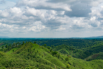 Naklejka premium landscape with sky
