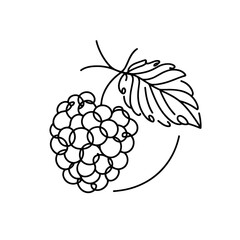A black and white drawing of a Mulberry with a leaf. The drawing is simple and elegant, with the Mulberry and leaf being the main focus. Concept of freshness and natural beauty