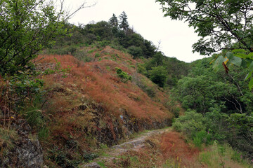 Fototapeta premium Schroffe Felsen in grüner Natur auf dem Premium-Wanderweg Nat'Our Route 5 in der Südeifel an der deutsch-luxemburgischen Grenze bei Vianden. 
