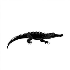 Fototapeta premium Crocodile Silhouette, Illustration Isolated On White Background